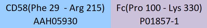 CD58 Structure