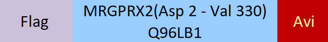MRGPRX2 Structure