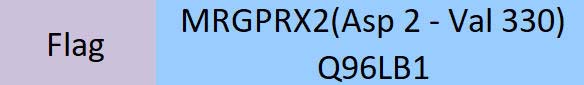 MRGPRX2 Structure