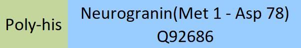 Neurogranin Structure