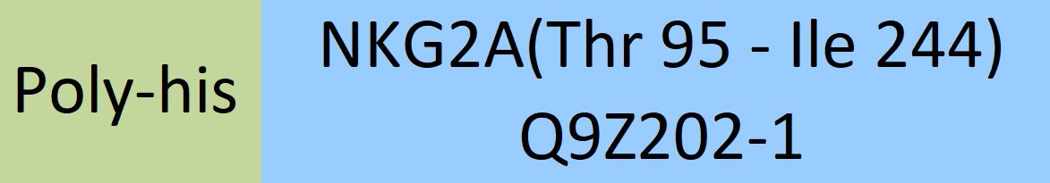 NKG2A Structure
