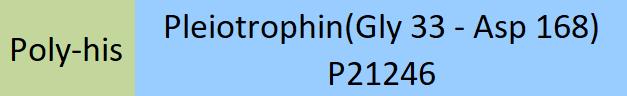 Pleiotrophin Structure