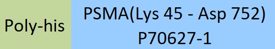 PSMA Structure