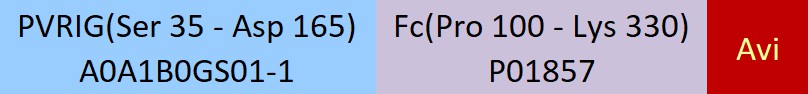 PVRIG Structure