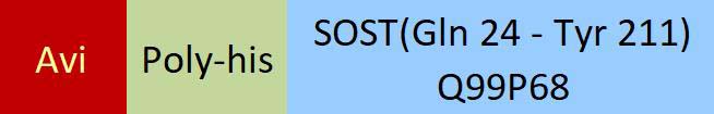 SOST Structure