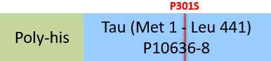 Tau Structure
