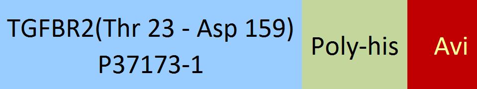 TGF-beta RII Structure