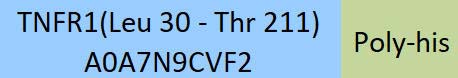 TNFR1 Structure