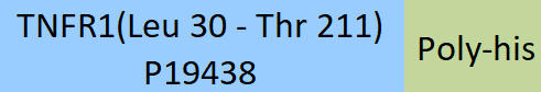 TNFR1 Structure