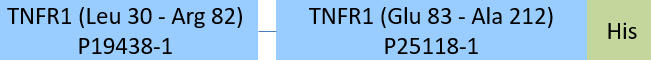 TNFR1 Structure