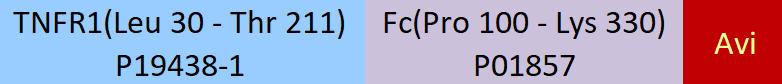 TNFR1 Structure