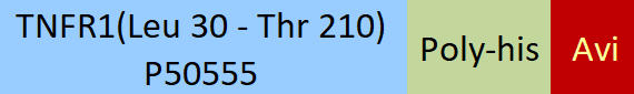 TNFR1 Structure