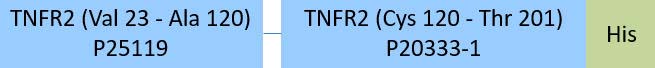 TNFR2 Structure