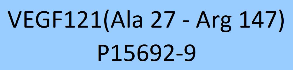 VEGF121 Structure