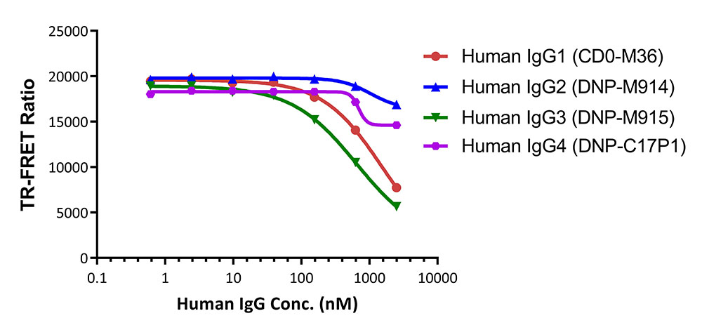 Fc gamma RIIIA / CD16a TR-FRET