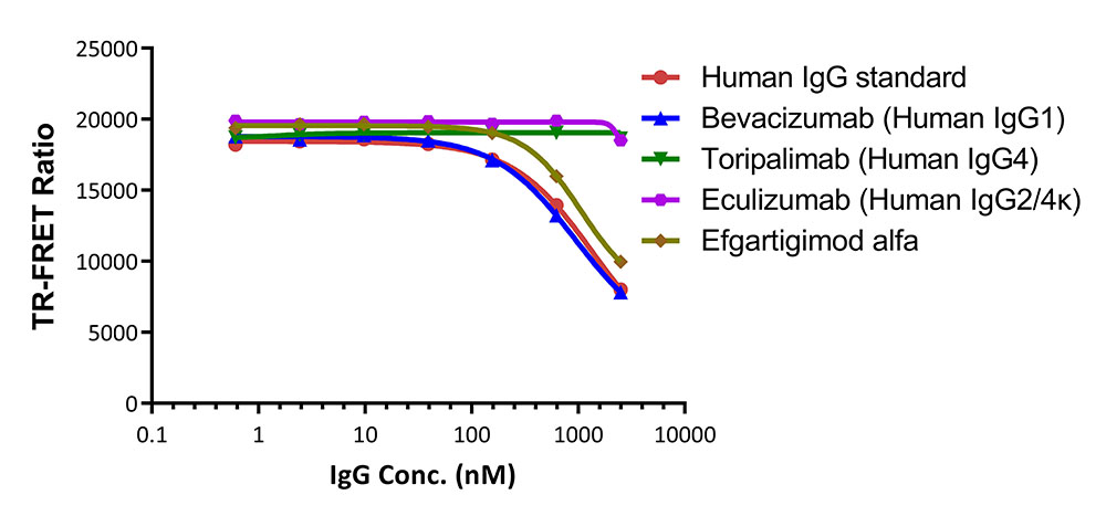 Fc gamma RIIIA / CD16a TR-FRET