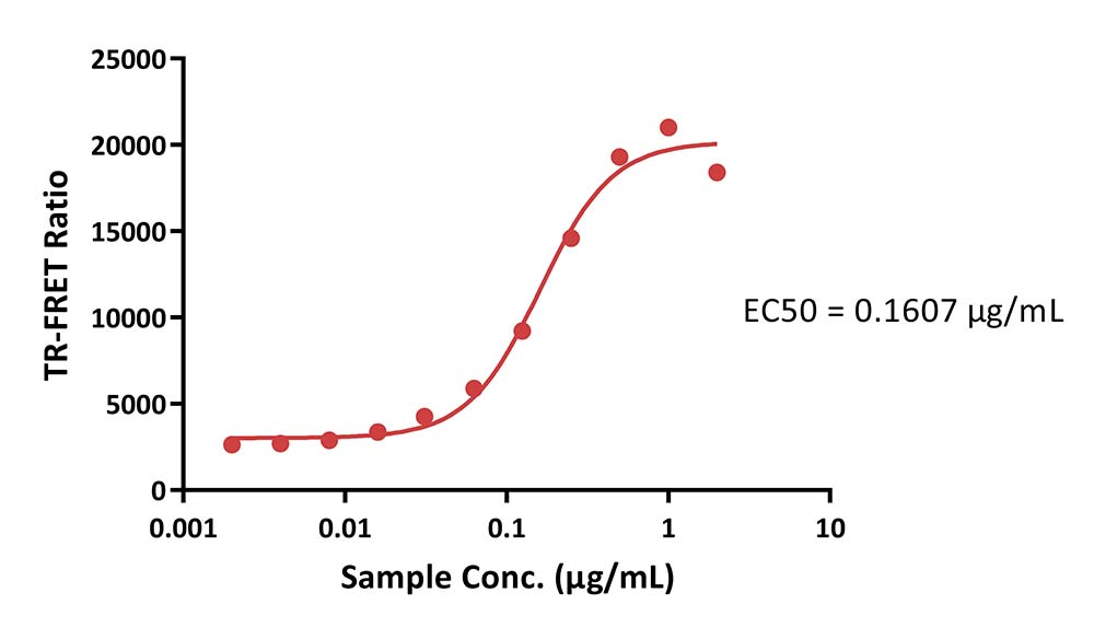 Her2 TR-FRET