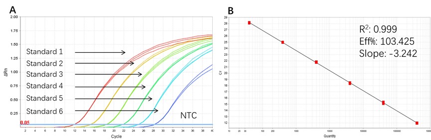 DNA TYPICAL DATA
