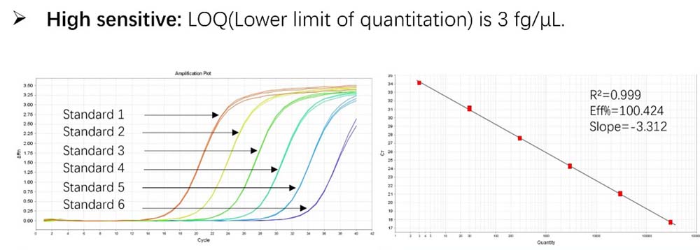 DNA TYPICAL DATA