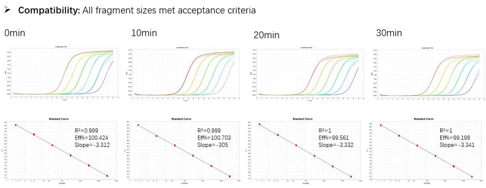 DNA TYPICAL DATA