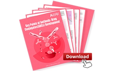Key  Points of Antibody–Drug Conjugates (ADCs) Development