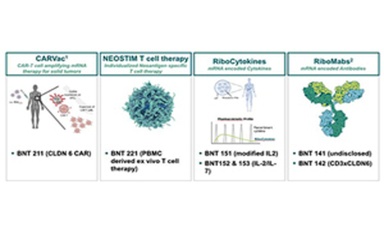 [Inspiring Target] Breakthroughs of targeting Claudin 6 in mAb, bsAb, ADC, CAR-T cell therapy