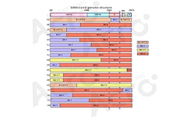 Omicron recombinants and new variants: Who is the next master for immune escape?
