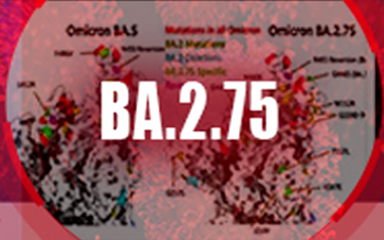 ACROBiosystems announces the release of their latest BA.2.75 antigen products
