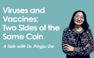Viruses and Vaccines: Two Sides of the Same Coin