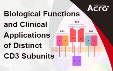 Biological Functions and Clinical Applications of Distinct CD3