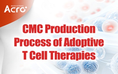 CMC Manufacturing Process for CAR-T and Adoptive T Cell Therapies