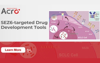 New Hope for SCLC! SEZ6-ADC Therapy Shows Great Promise