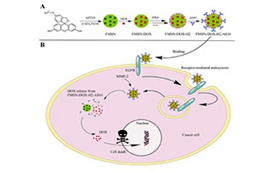 Proteases for Screening and Validation of ADC Linker