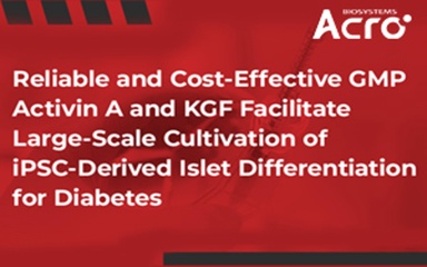 Reliable and Cost-Effective GMP Activin A and KGF Enable Scalable iPSC-Derived Islet Cell Manufacturing for Diabetes Therapy
