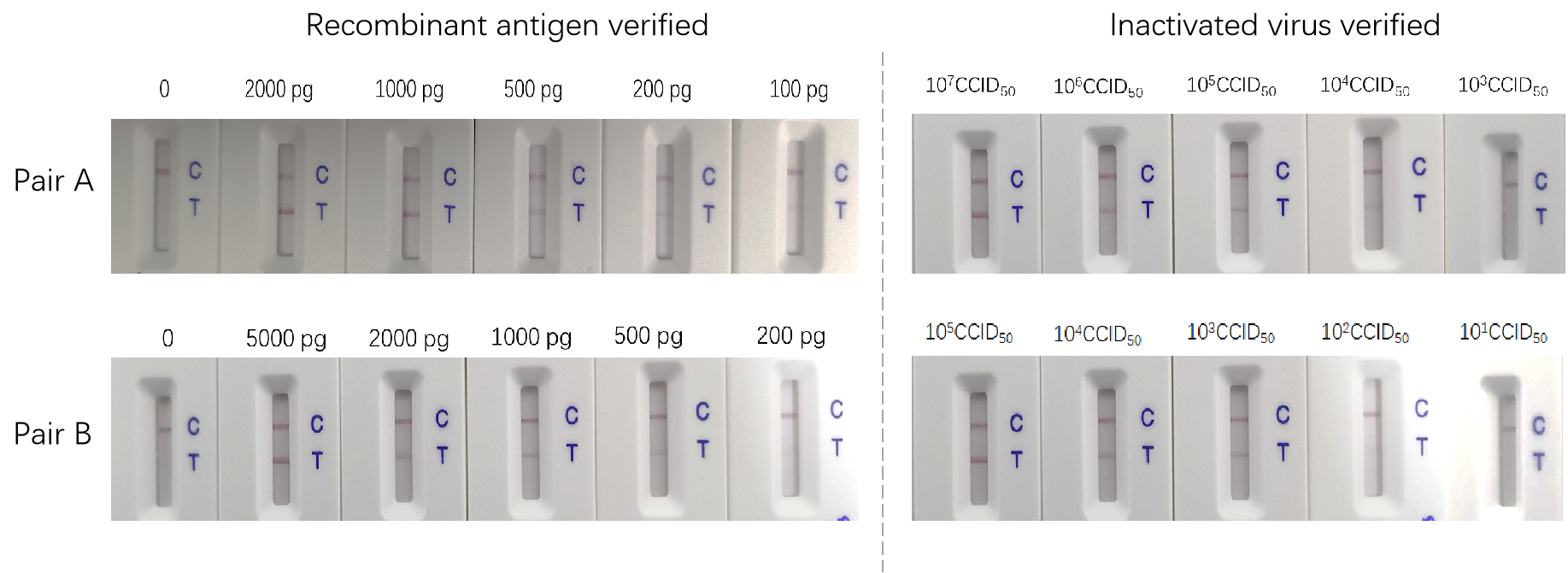 1600161190266279.png 1600161190266279.png