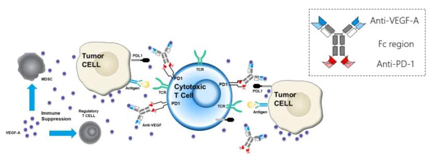 Mechanism of action of AK112 Mechanism of action of AK112