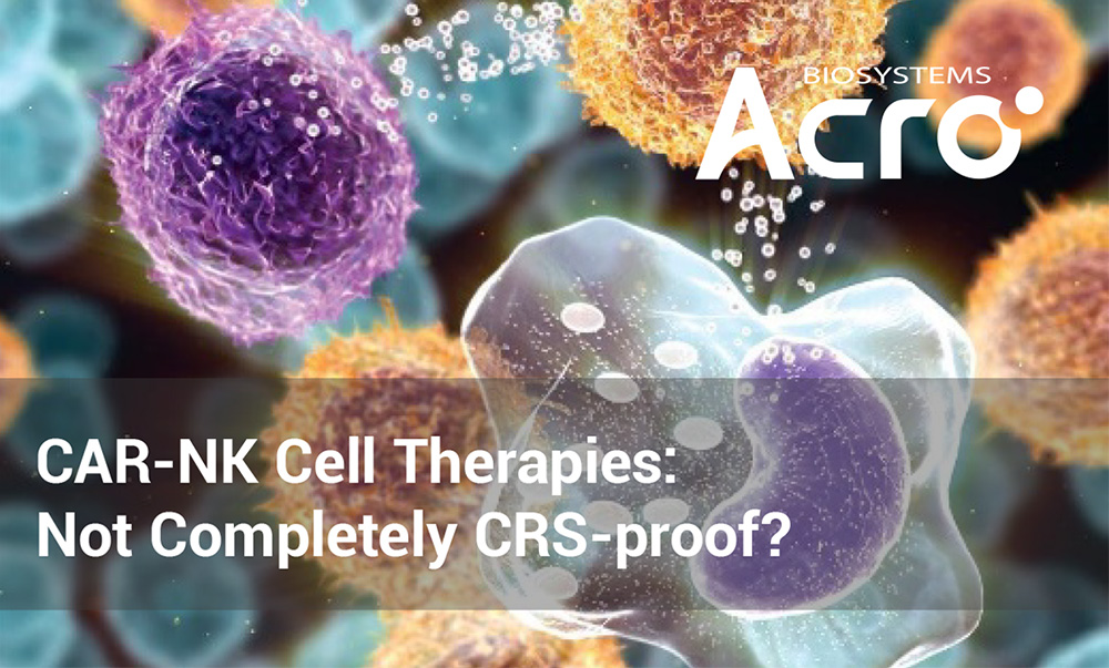 Facilitating Antibody Development with Recombinant Antibody Services