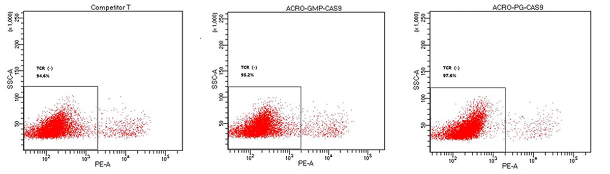 T cell Activation