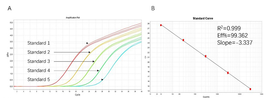 AAV Titration and Anti-AAV Antibody ELISA Kits AAV Titration and Anti-AAV Antibody ELISA Kits