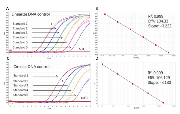 Plasmid DNA Residues Detection Plasmid DNA Residues Detection