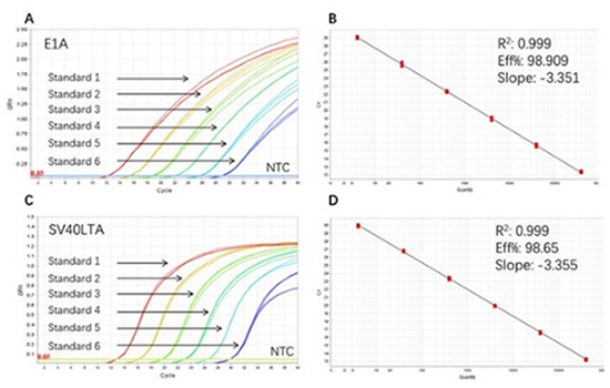 Viral Oncogenes Residue Detection Viral Oncogenes Residue Detection