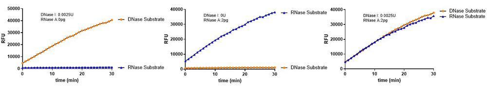 Viral Oncogenes Residue Detection Viral Oncogenes Residue Detection