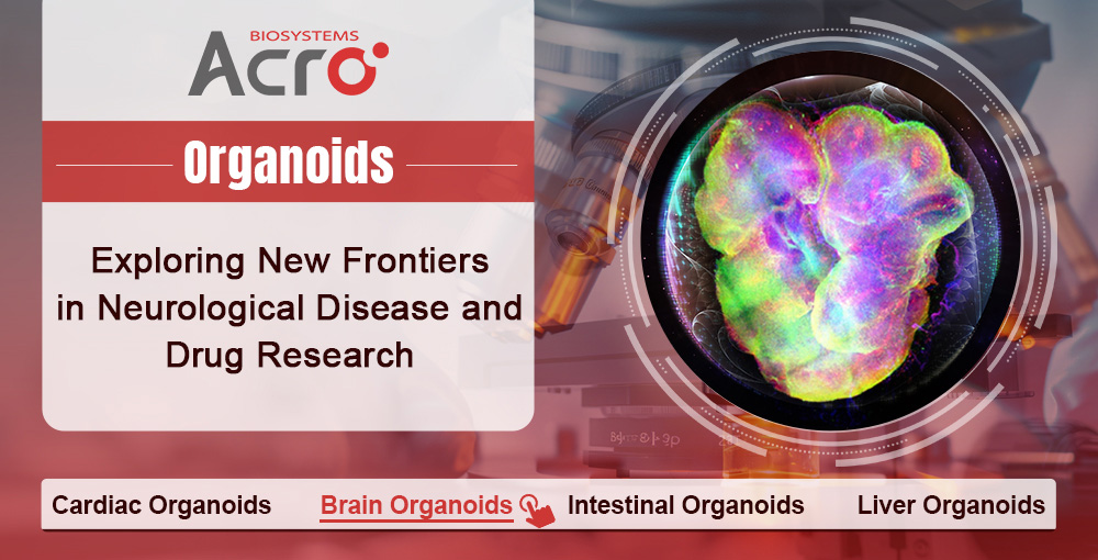 Exploring New Frontiers in Neurological Disease and Drug Research