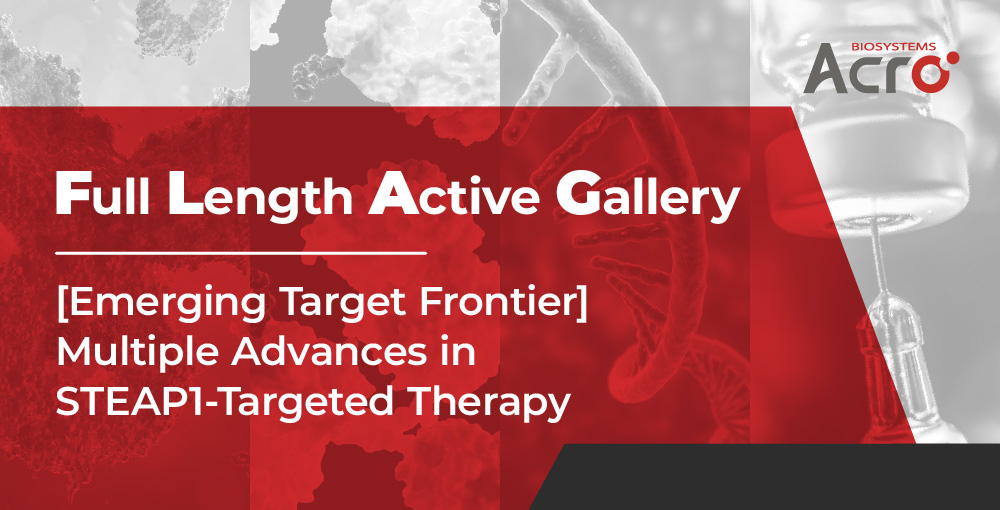 STEAP1-Targeted Therapy