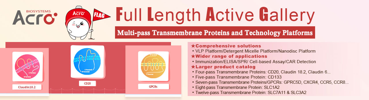 STEAP1-Targeted Therapy