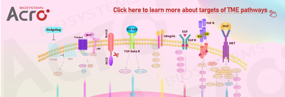 Immune-Checkpoint-Proteins