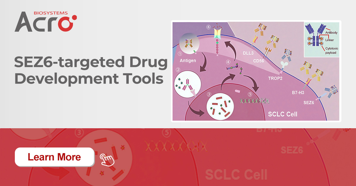 New Hope for SCLC! SEZ6-ADC Therapy Shows Great Promise