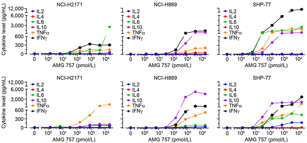 T Cell Engagers (TCEs)