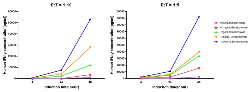 T Cell Engagers (TCEs)