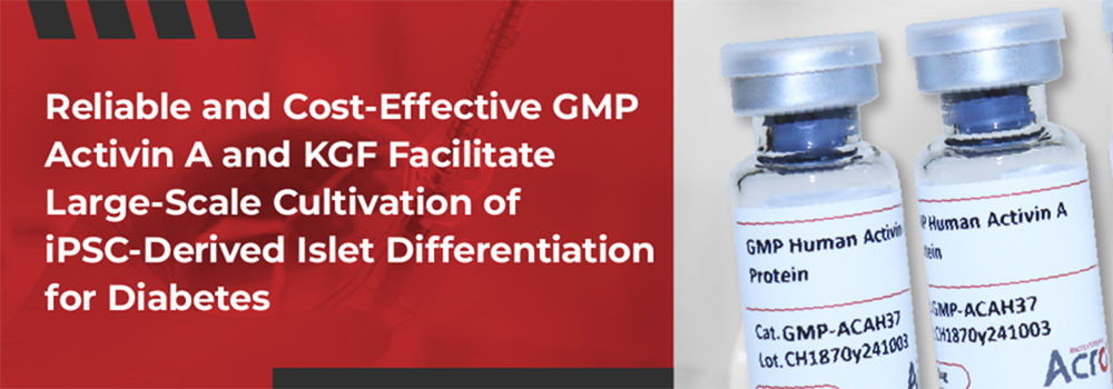 iPSC-Derived Islet Differentiation for Diabetes
